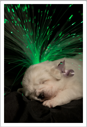 Capture One Session0232